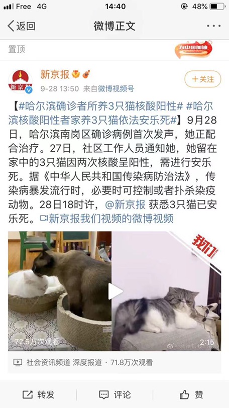 核酸阳性的三只🐱被执行了安乐死？！