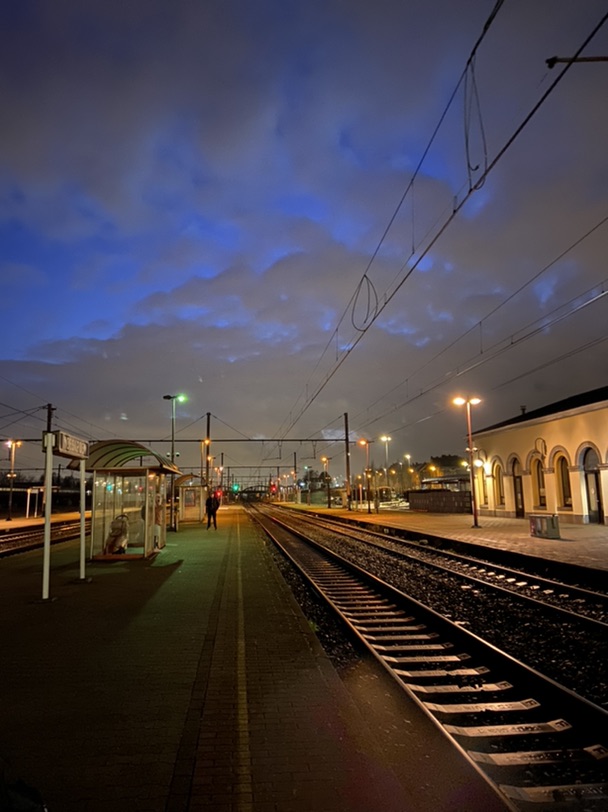 🌕晨和夜🌑 光永远是最合适的滤镜