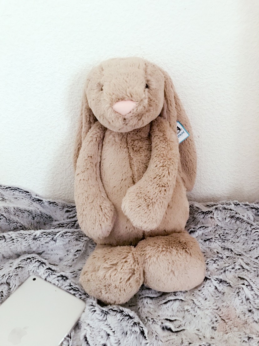 留学狗必备❤️jellycat 安抚兔🐰邦尼兔