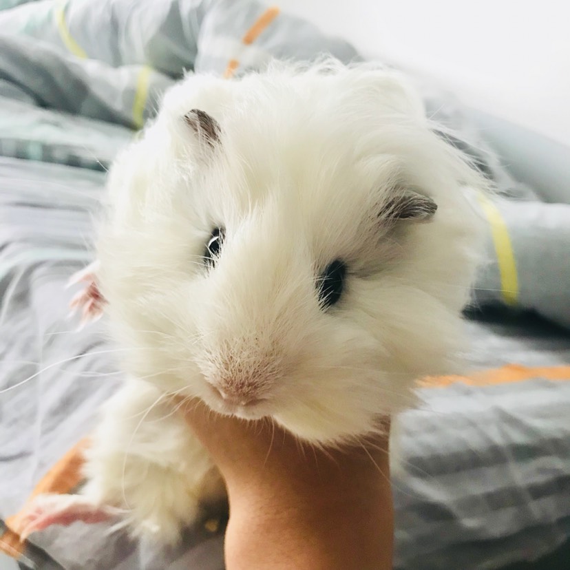 晒晒我的小可爱