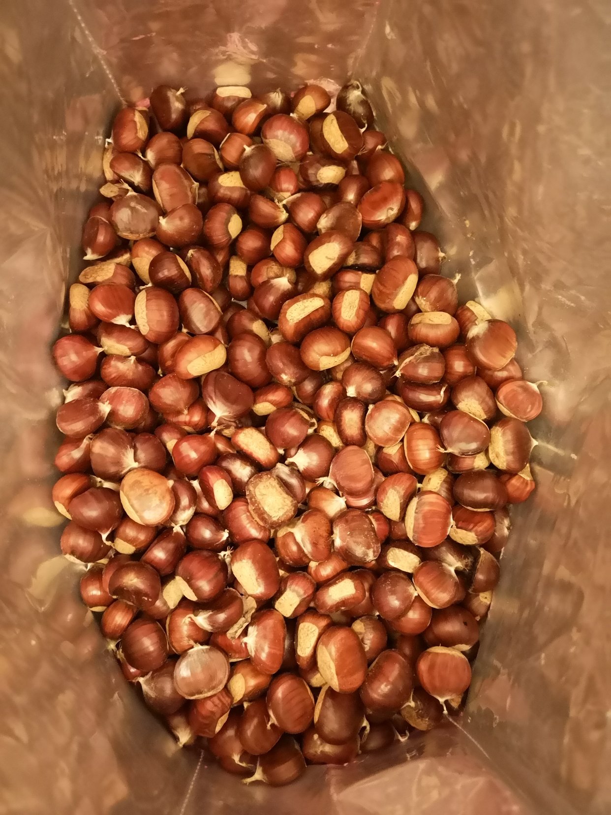 加入深秋拾栗子