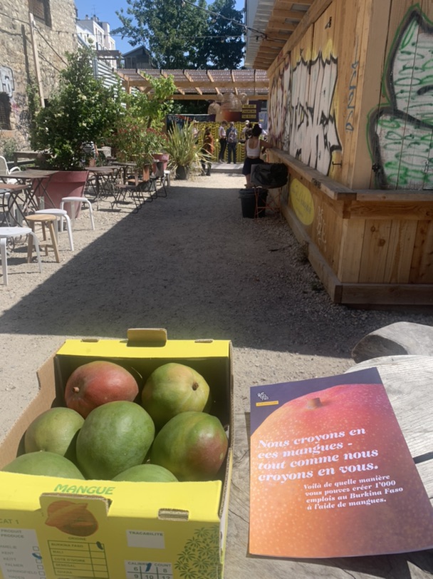 免费拿kent芒果呀😆😆