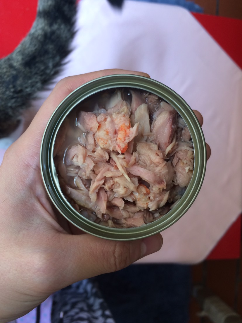 满满是肉的无添加猫罐头～
