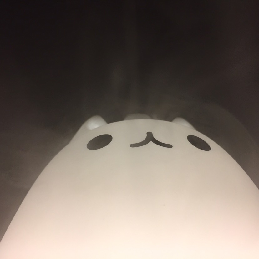 天干物燥，你需要一只猫咪呼吸加湿器(☝︎ ՞ਊ ՞)☝︎