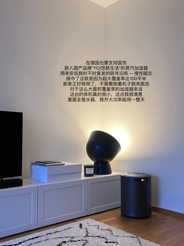 🇩🇪🧩｜在德国过年🧨只居家，不串门
