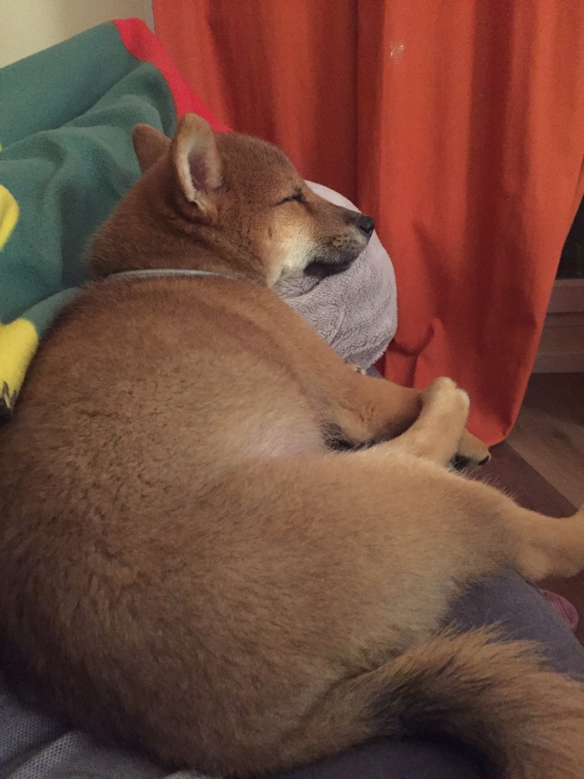想看电视，但又很困的你