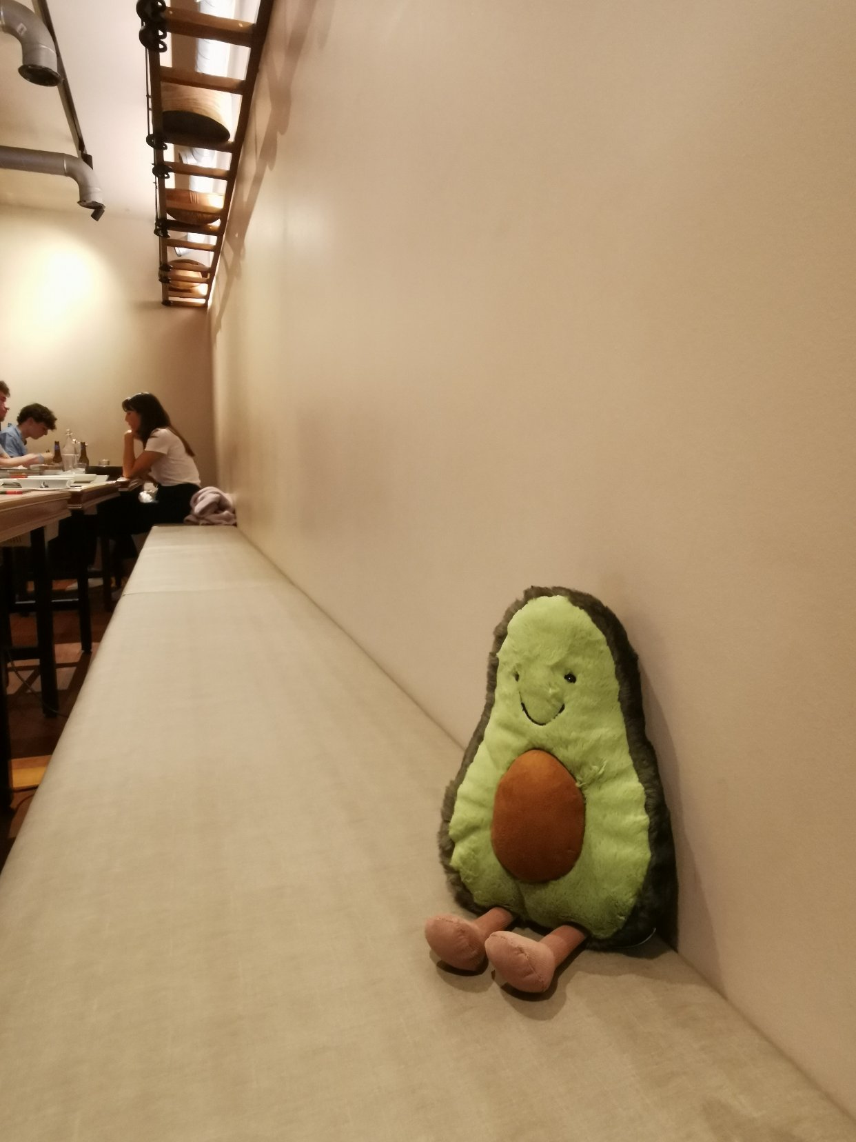 牛油果儿到家啦😝