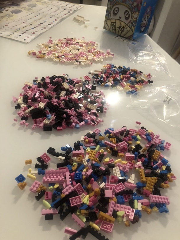 Aliexpress上买的熊猫乐高