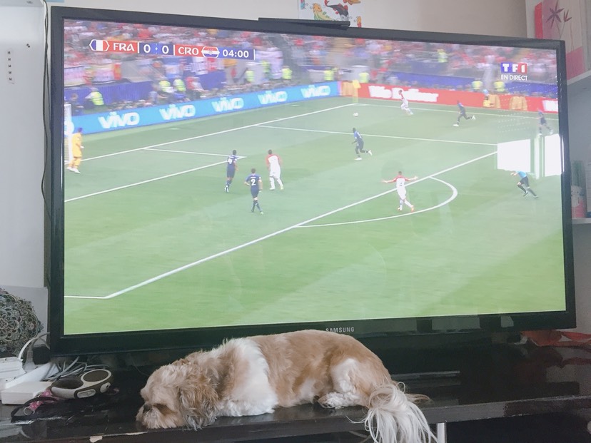 🇫🇷🇫🇷