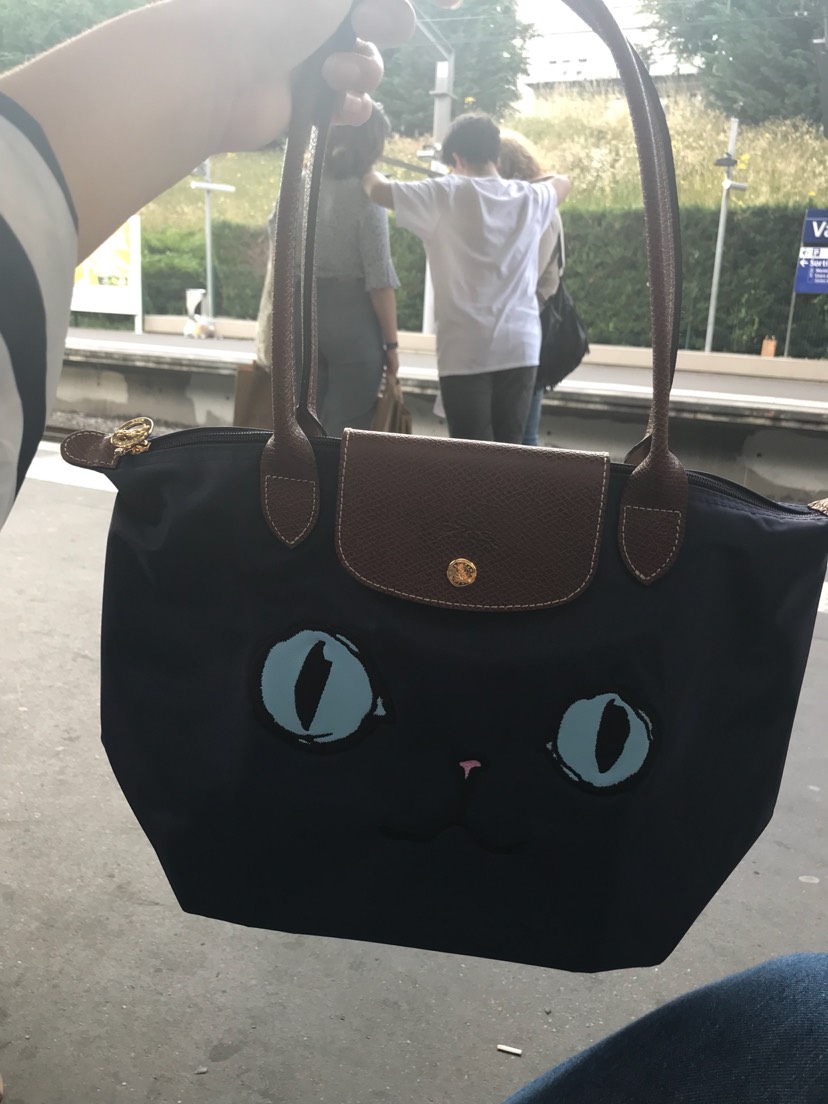 终于找到了猫咪包！