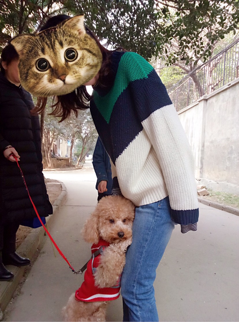狗年旺旺旺！狗子们都成精啦啦～