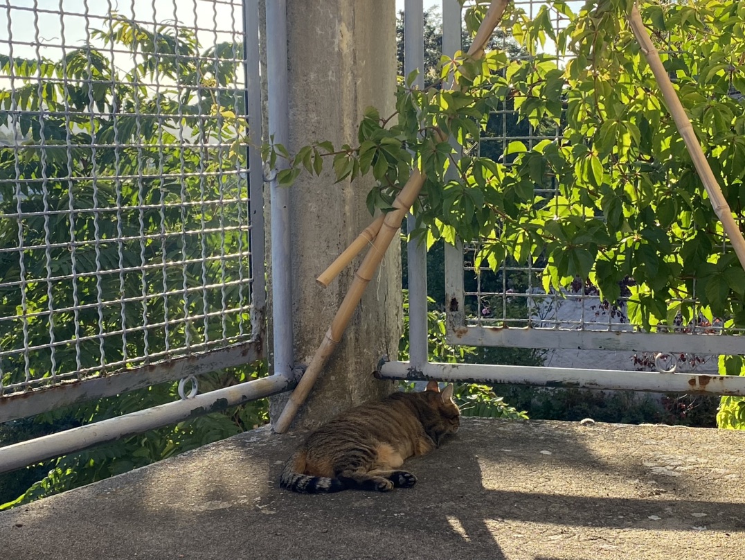 胖虎子可能是太胖了都不会觉得硌的慌？