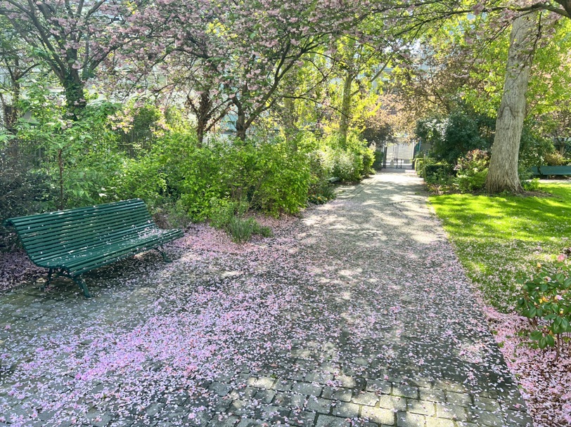 超美的🌸小公园