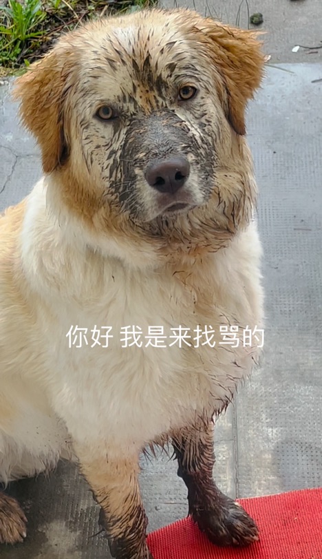 万圣节🎃