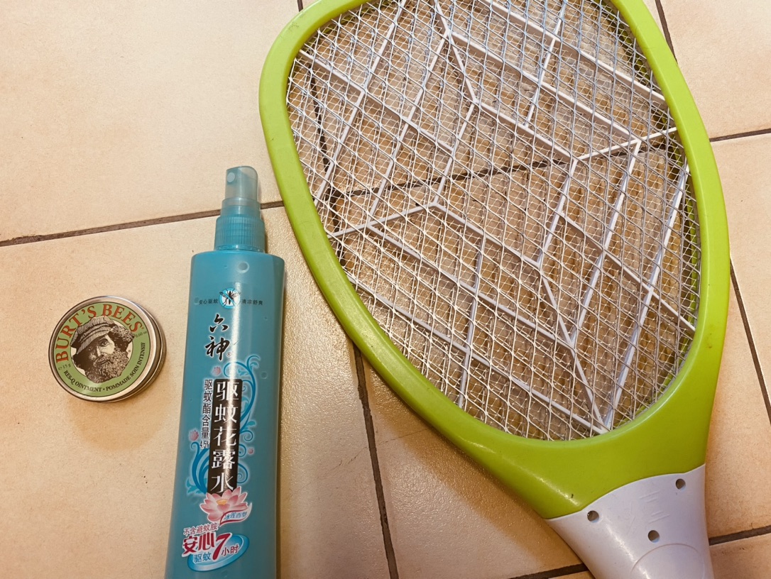 爽图镇楼！我的和蚊子对打三剑客！🦟🏸️