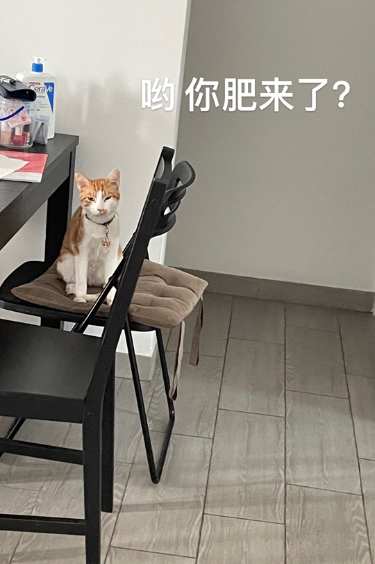 我的锅巴也凑个热闹～