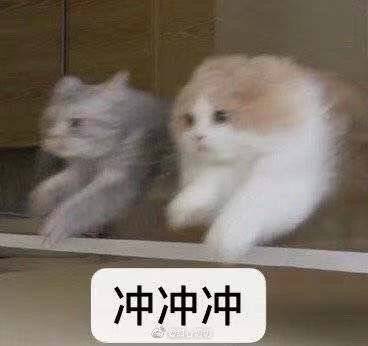 超龄少女想要打hpv疫苗