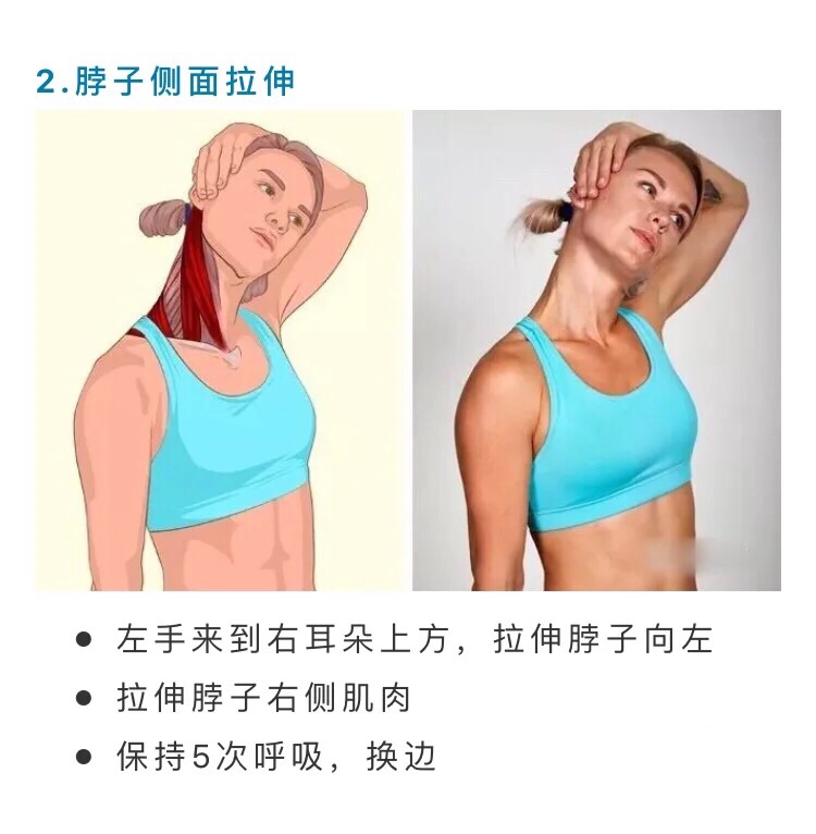 健身打卡：Day 7