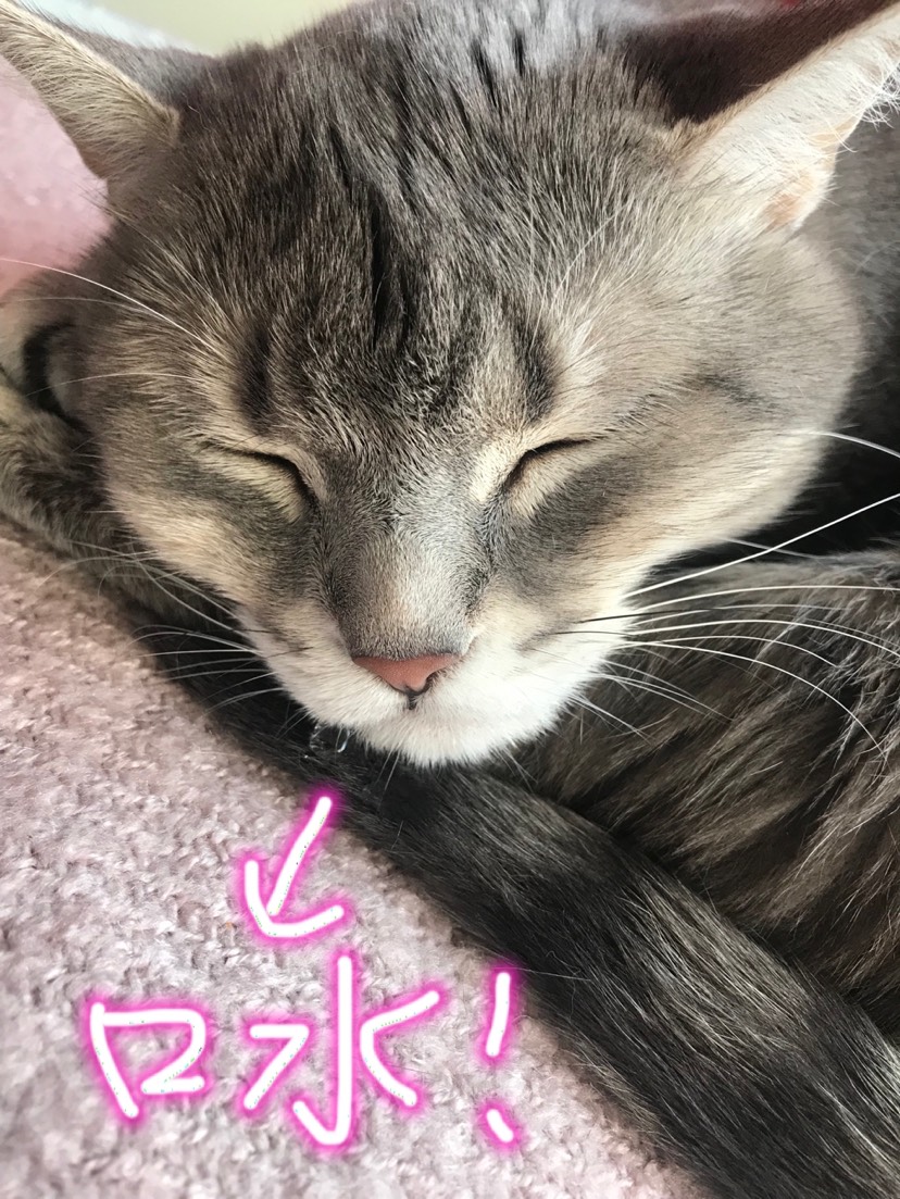 吐泡泡