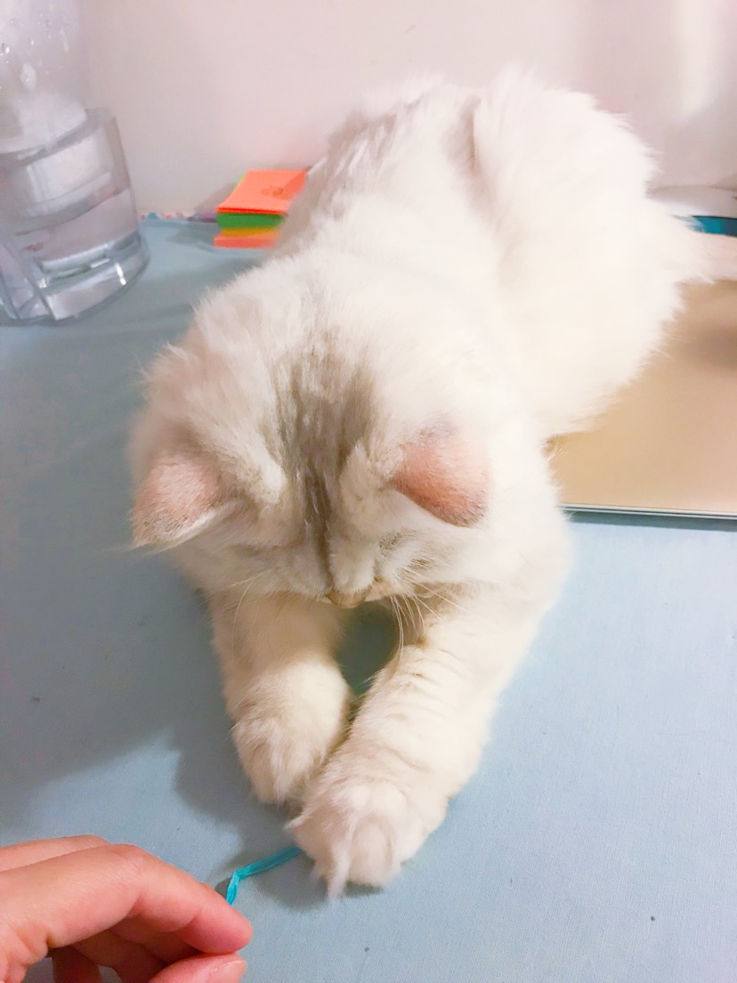 我妈让我自己来挣小鱼干