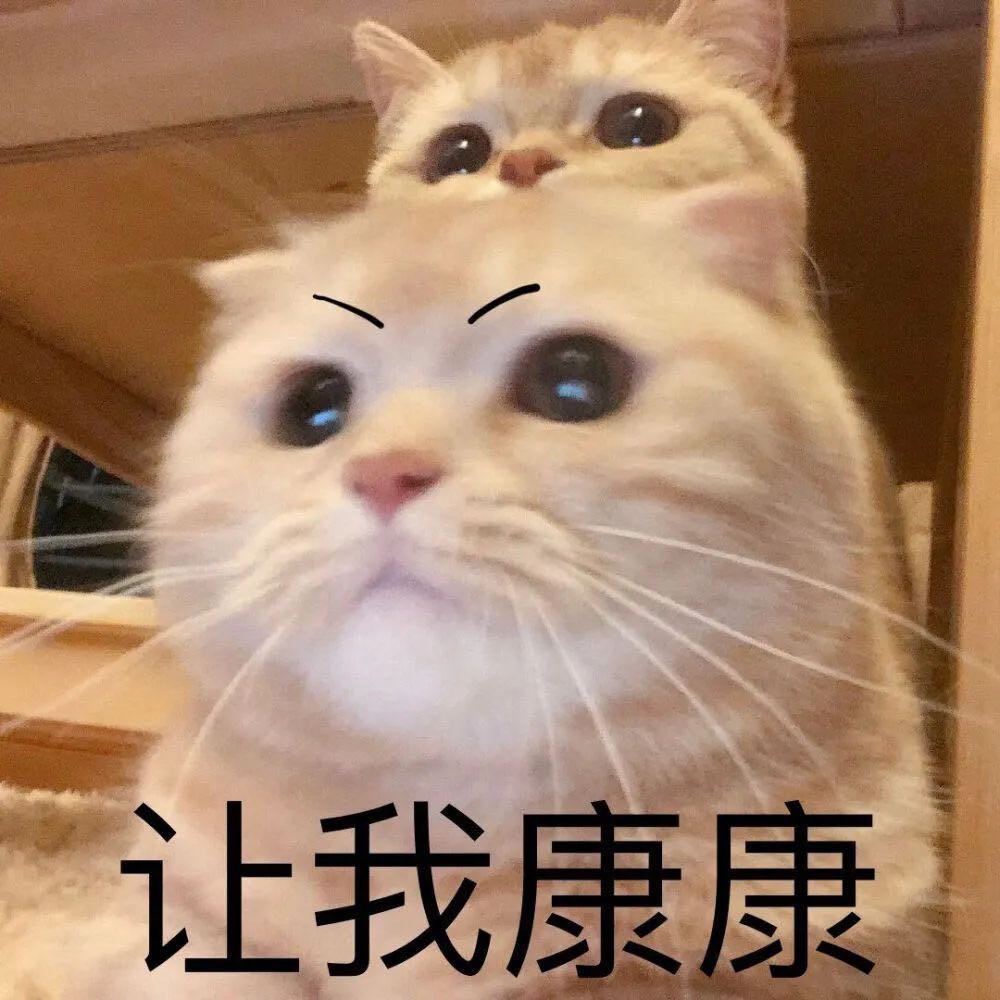 珍珠珍珠！