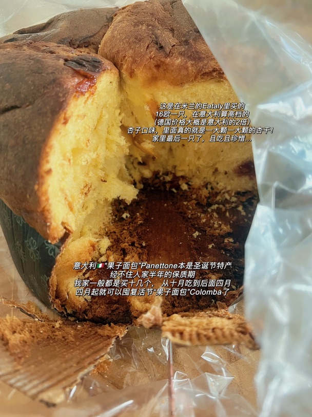🇩🇪柏林｜疫情过后，老公的办公桌却在扩张…