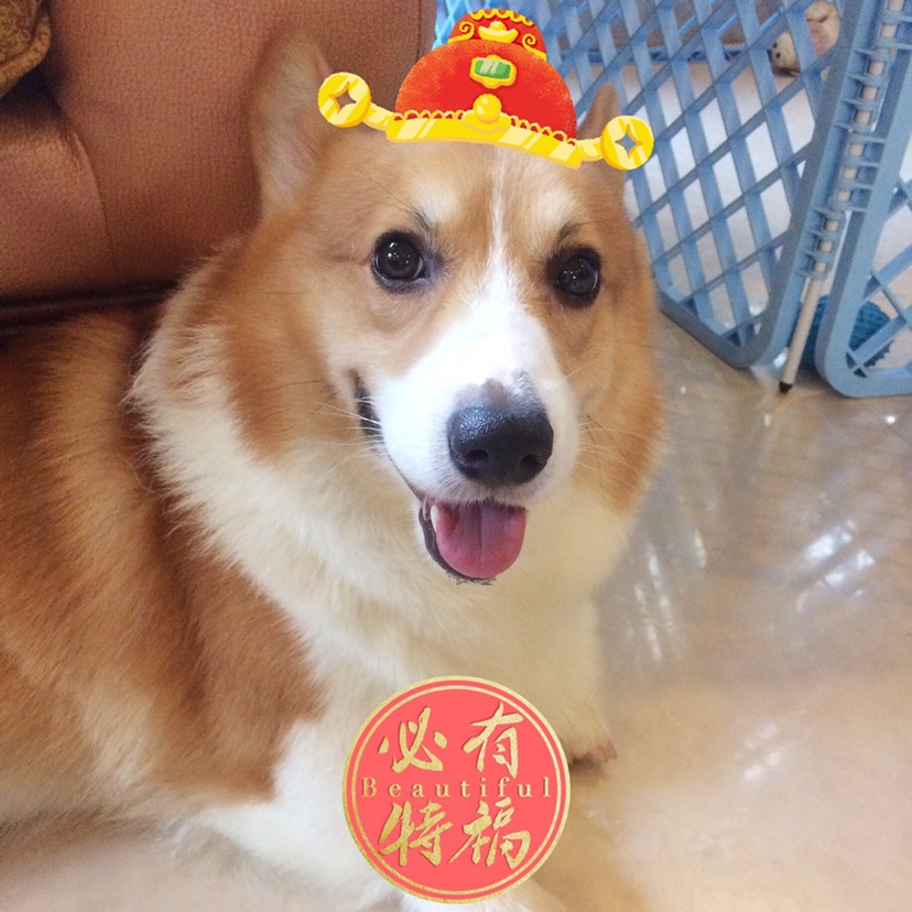 求助各位小姐姐和仙女们！