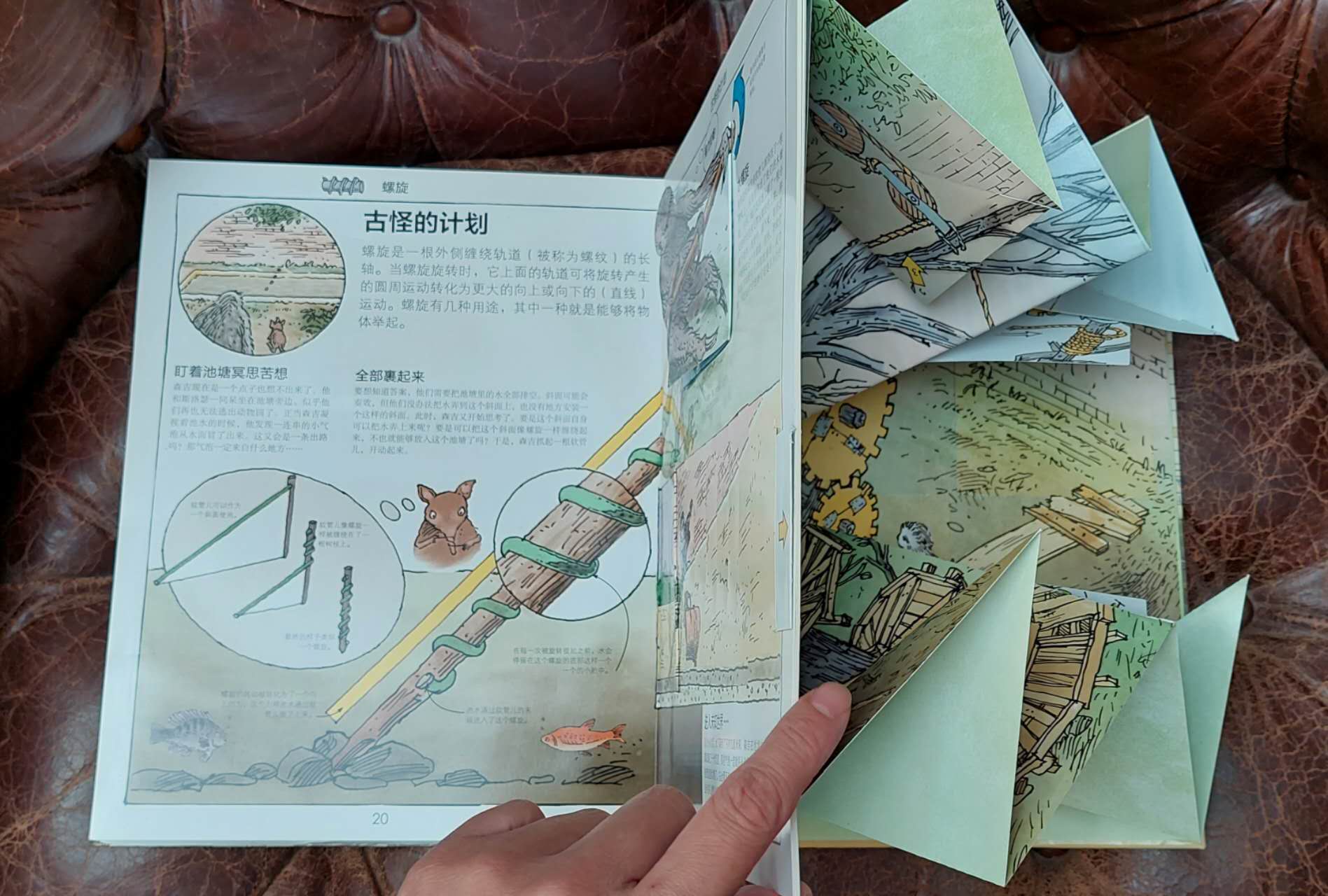 巴黎🇫🇷知识类立体书，6欧