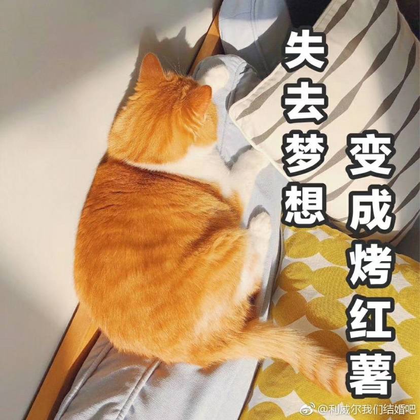 tf黑管80哪个网能买