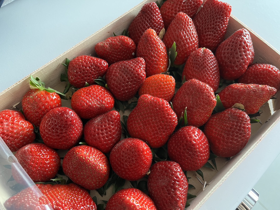 草莓🍓