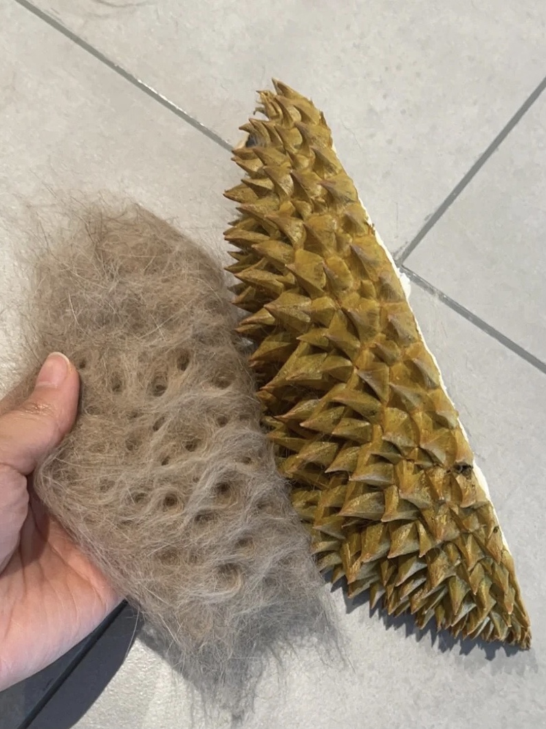 认真的吗？主人：好用，猫：我不行