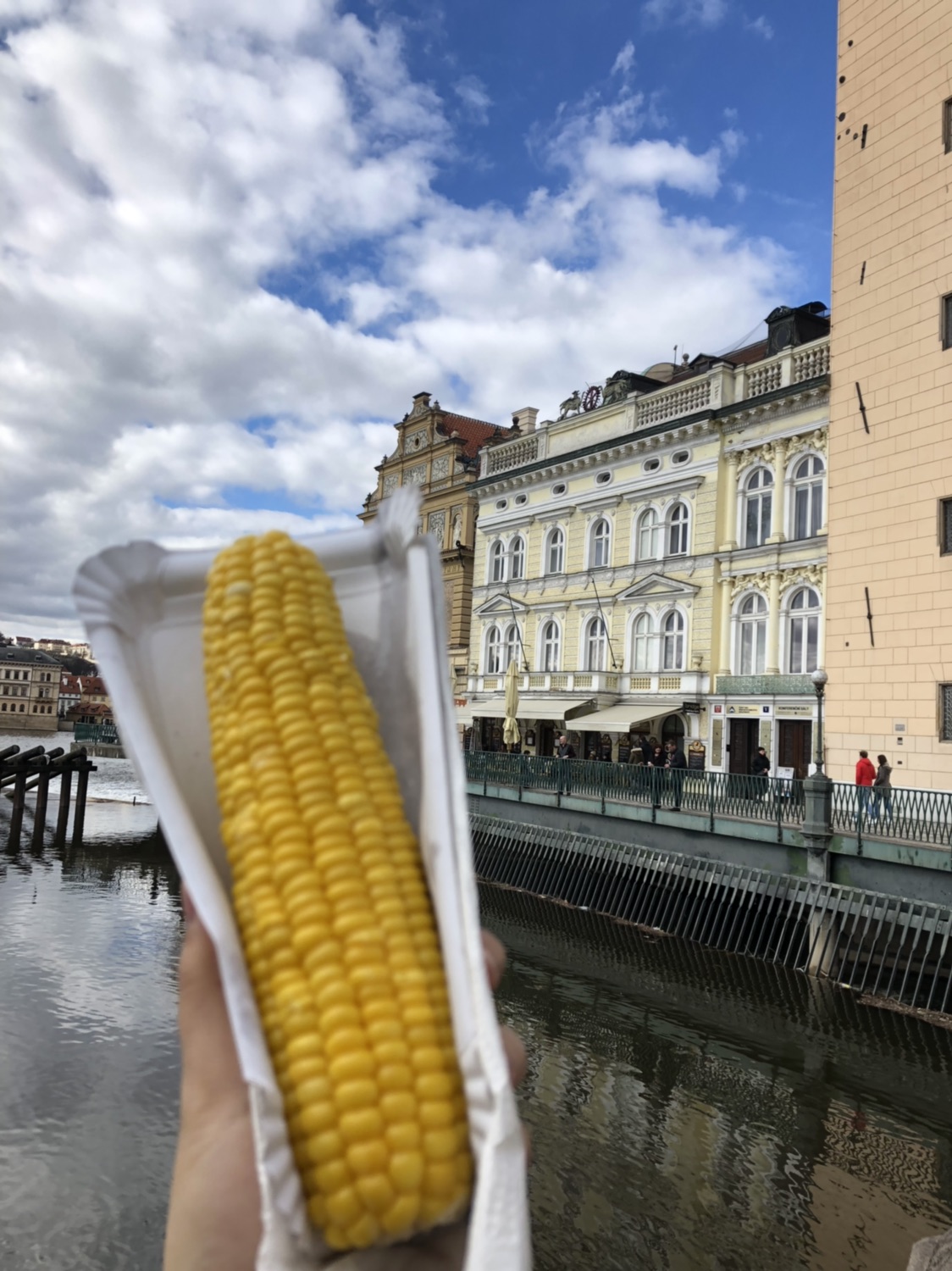 想一直有钱去旅游