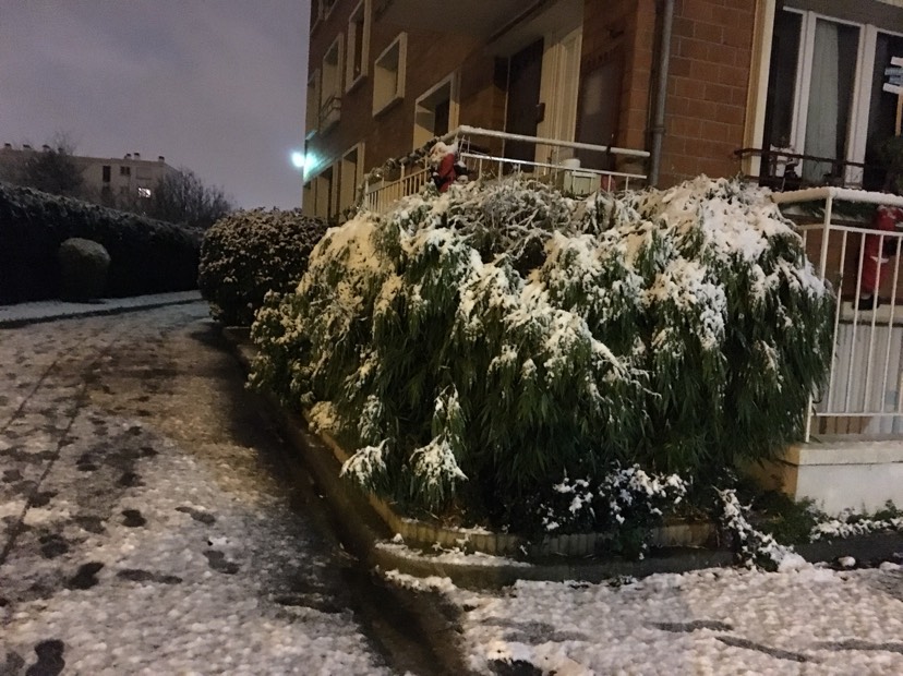 #2017年冬天的第一次雪#