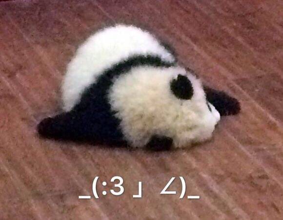 黑五box拆箱