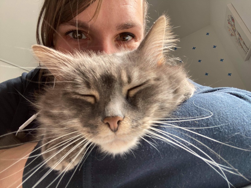 可以遛弯儿的猫咪🐈