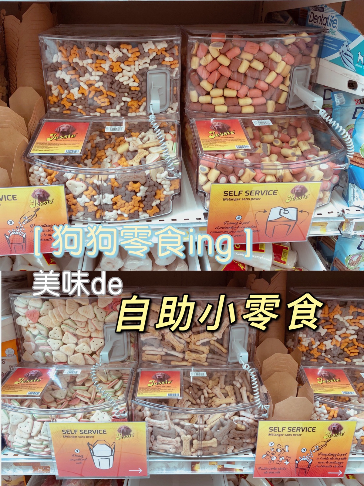 家乐福自选狗狗零食饼干