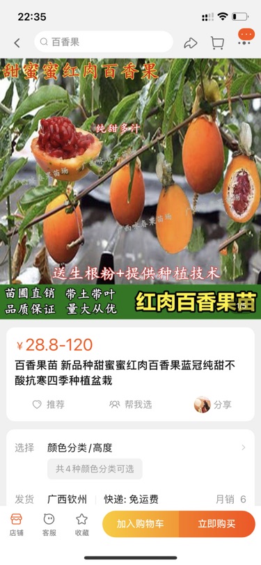 租房送百香果树和迷迭香🤣