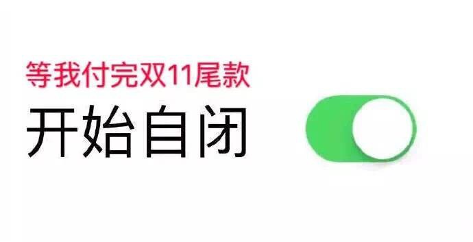 心心念念的双十一