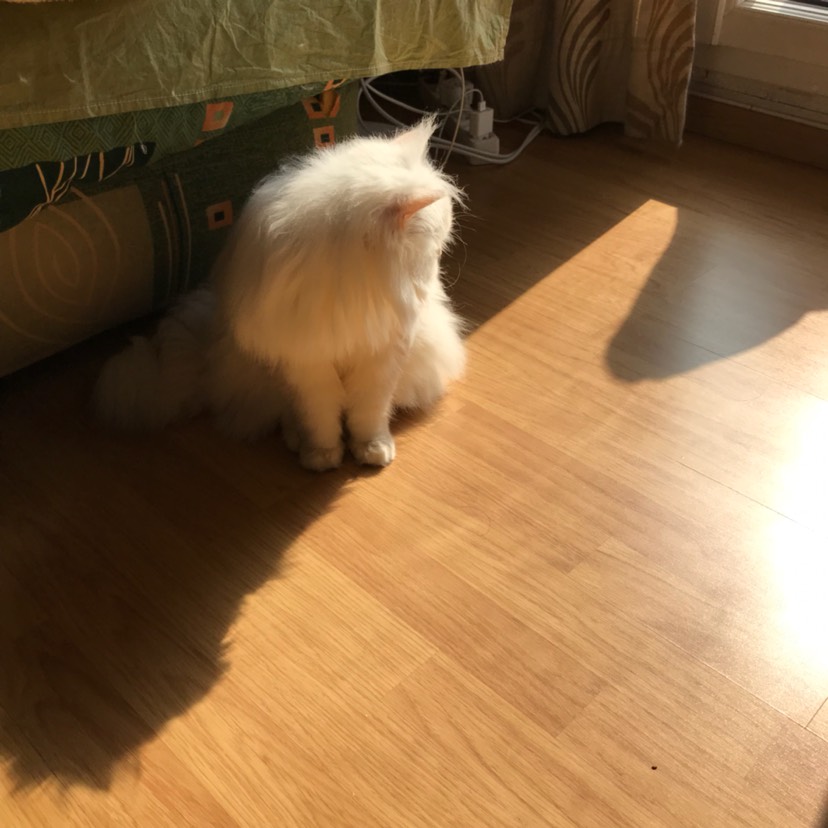 求推荐好用的空气净化器