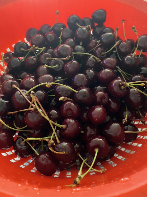 樱桃🍒助肠道