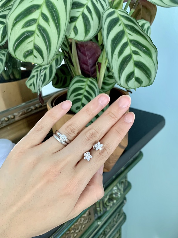 好久不见的自拍和最近的心头好