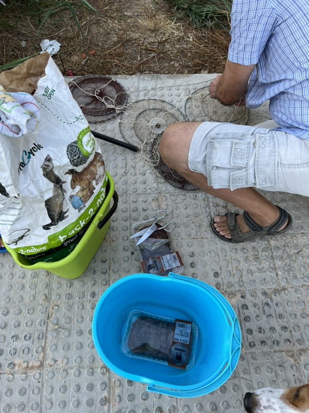 今天的快乐是抓小龙虾给的🦞