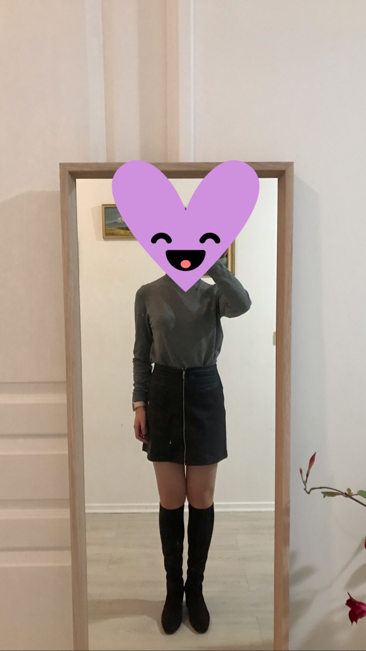 入手sw frannie @打折村