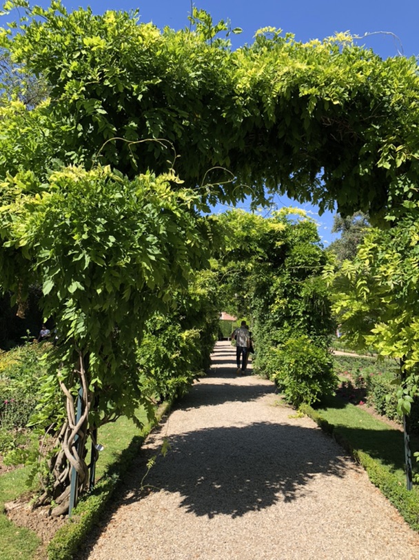 热爱夏天的每一分钟