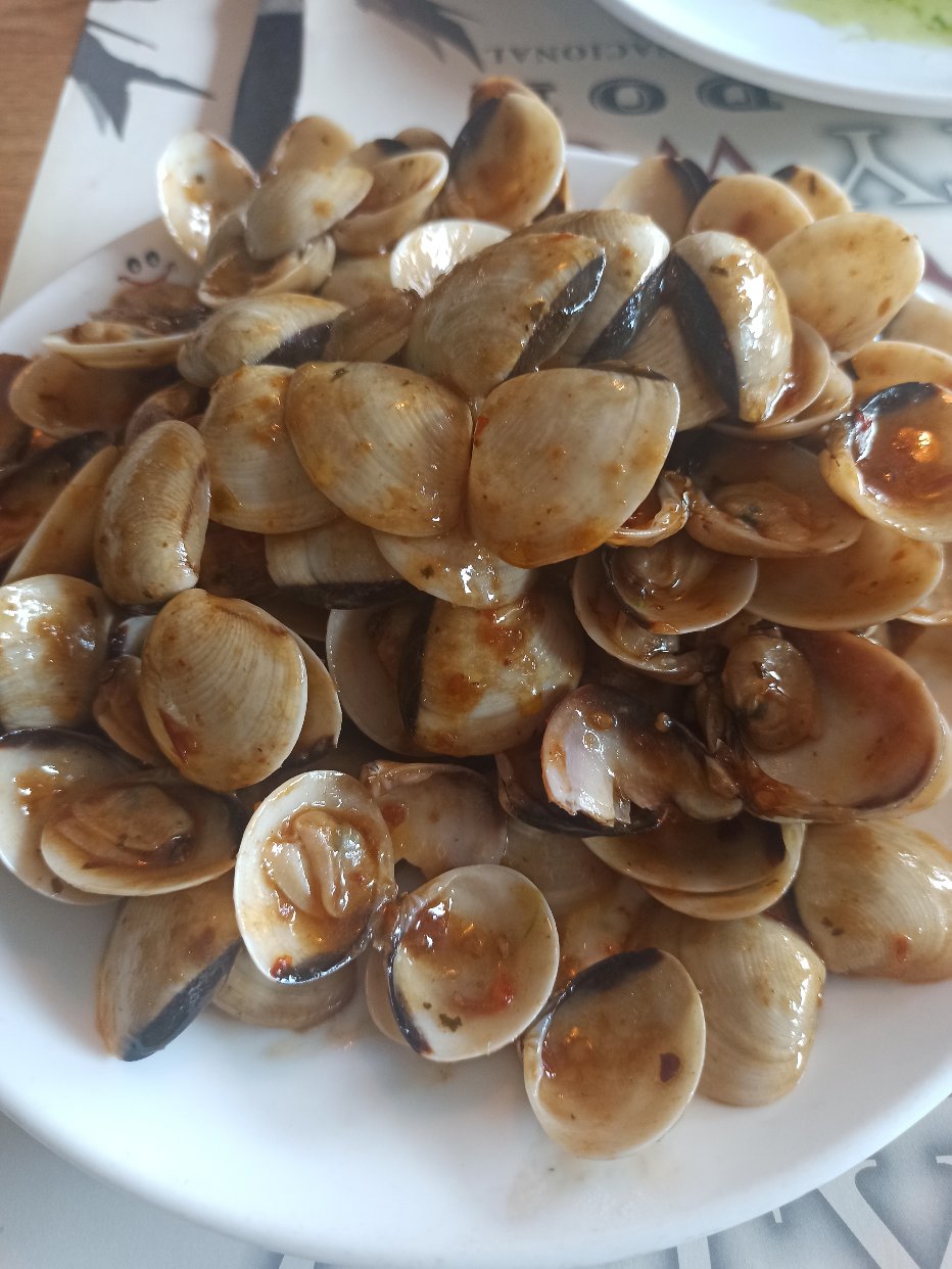 西班牙的餐馆yysd