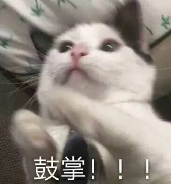 黑五购物3