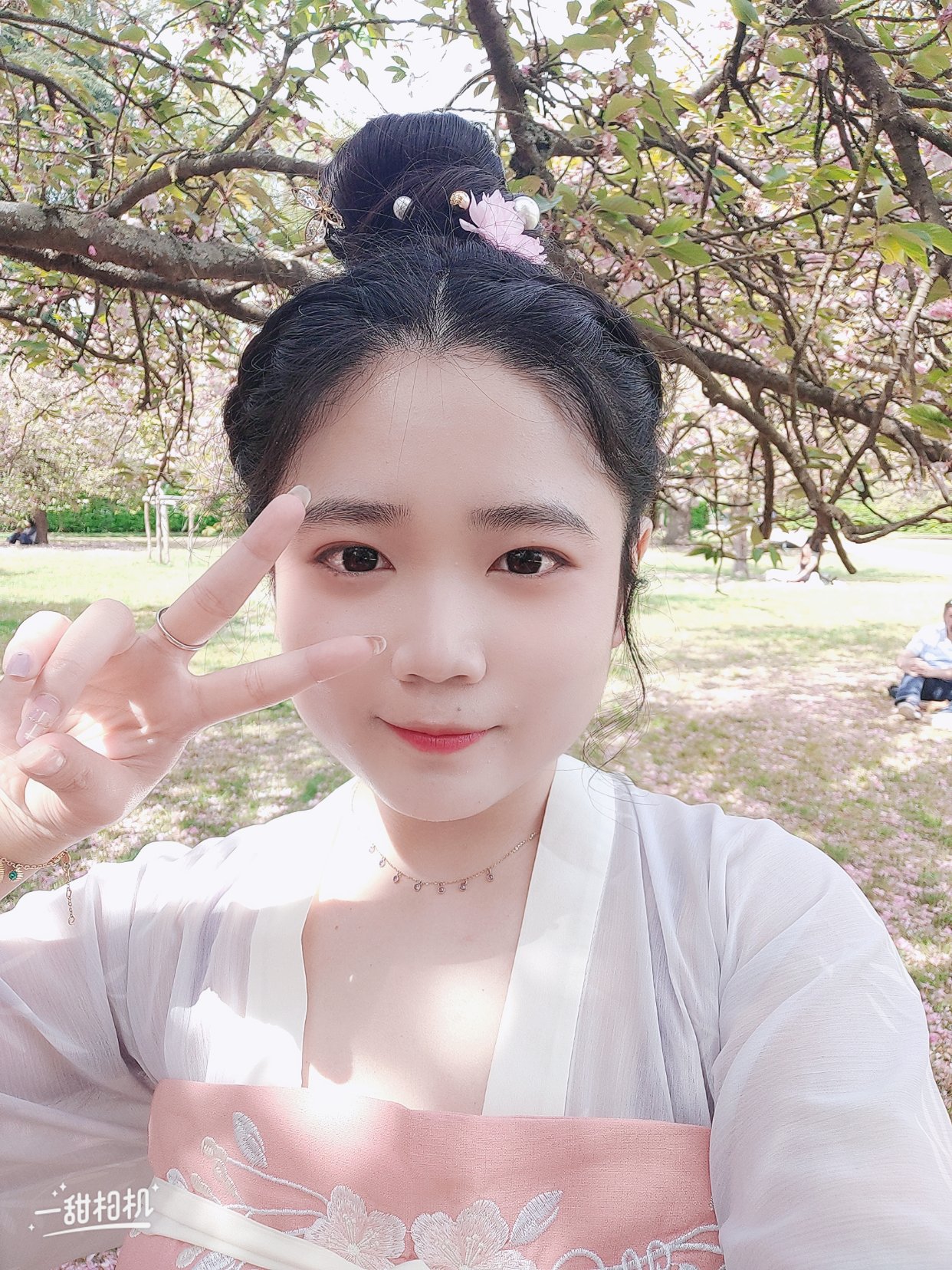 樱花🌸