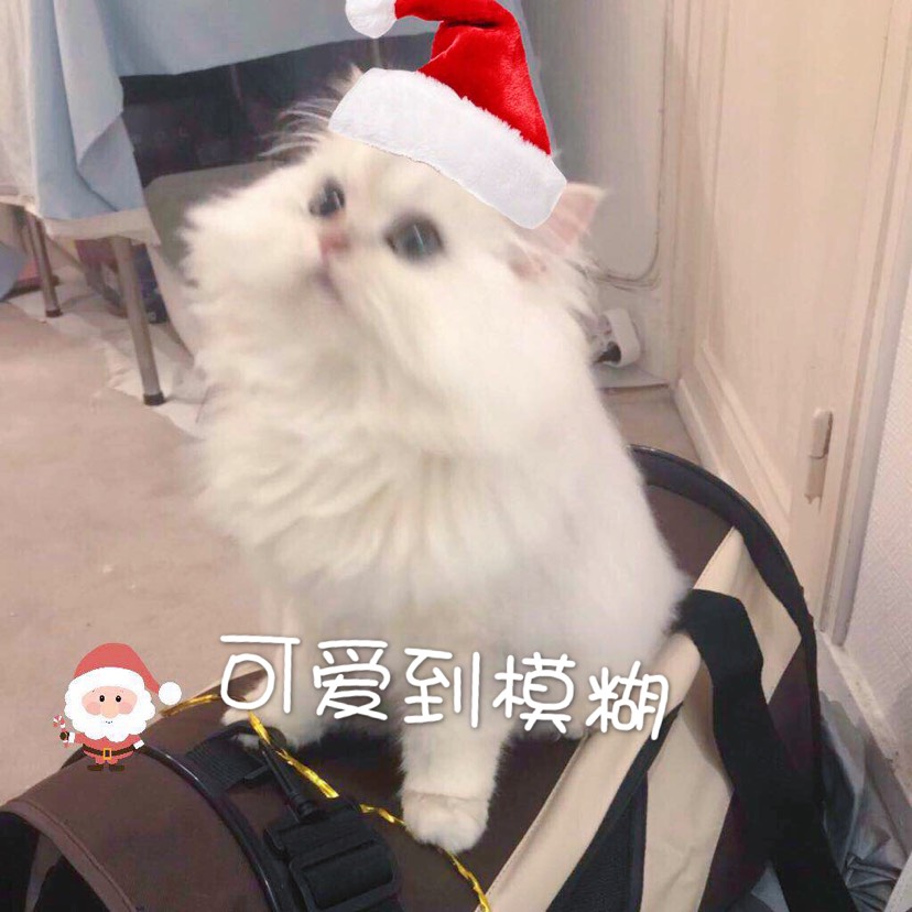 击个迷你小掌掌