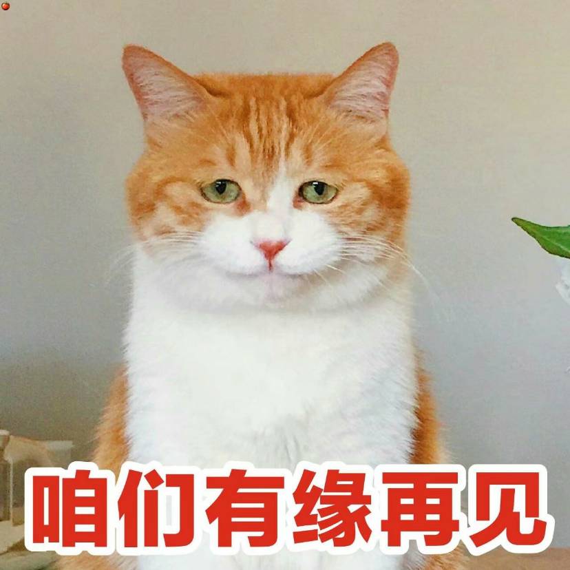 ysl银管11能不能给我留两根