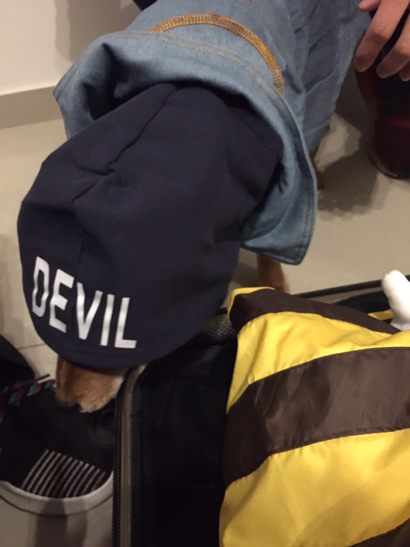 穿上衣服，我就是一分钱最靓的仔！